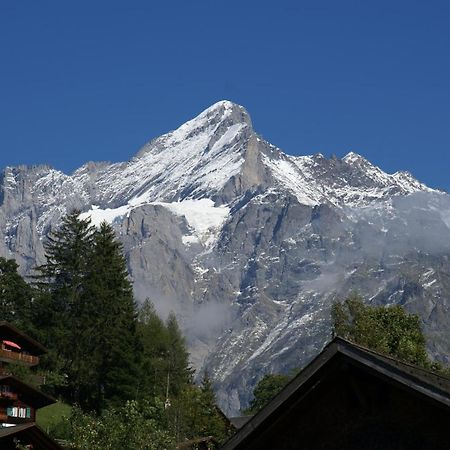 Apartment Baereggblick - Griwa Rent Ag Grindelwald Exteriér fotografie