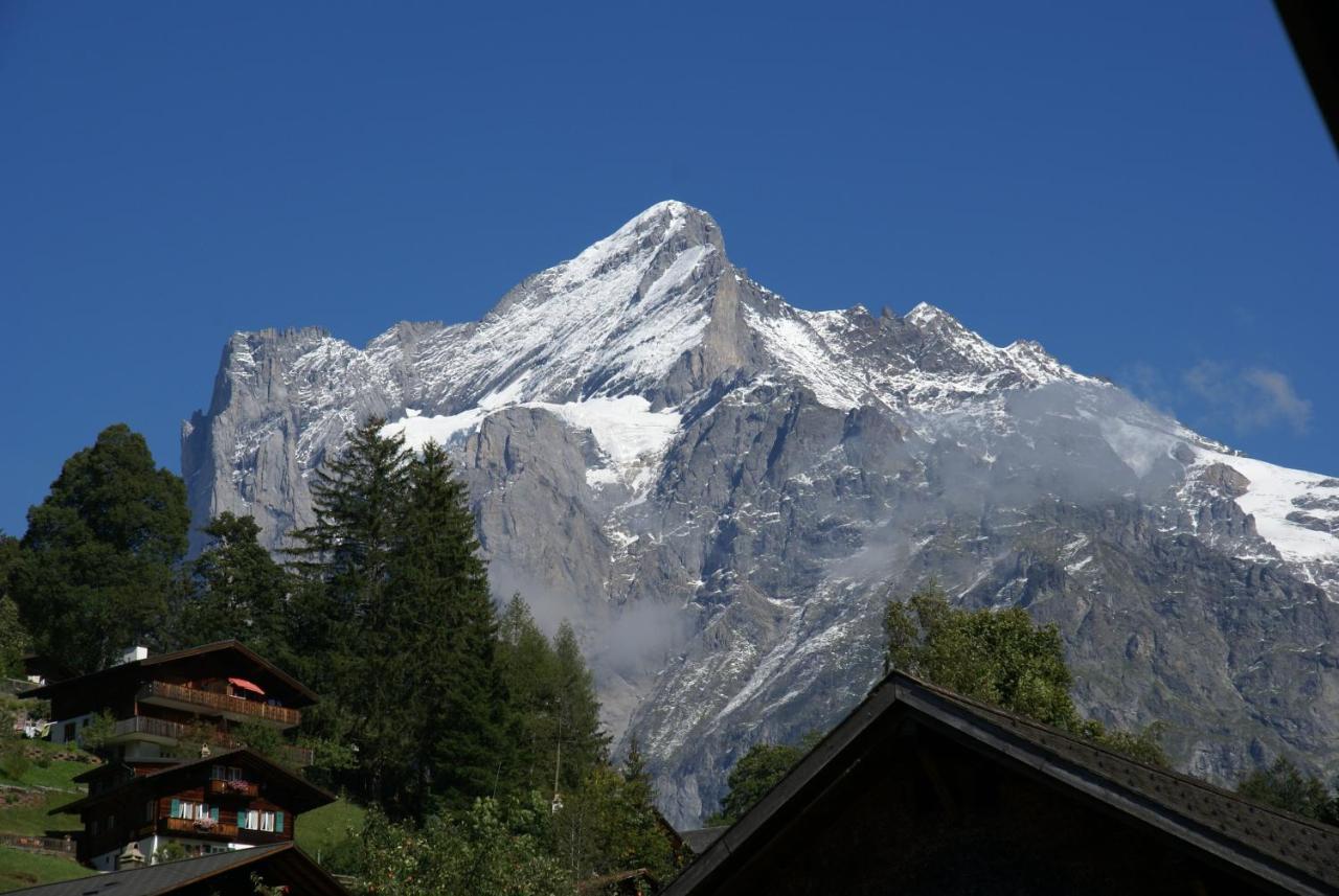 Apartment Baereggblick - Griwa Rent Ag Grindelwald Exteriér fotografie